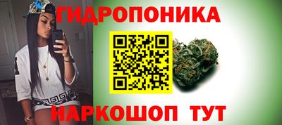прущий лед Ачхой-Мартан