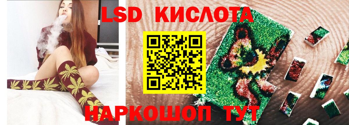 Бердск  LSD-25 экстази  Вход с VPN  LSD-25 экстази кислота  Лсд 25 экстази кислота 