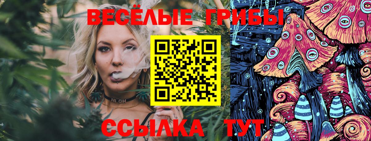 Галлюциногенные грибы прущие грибы  Галлюциногенные грибы прущие грибы  Бердск  Вход с VPN 